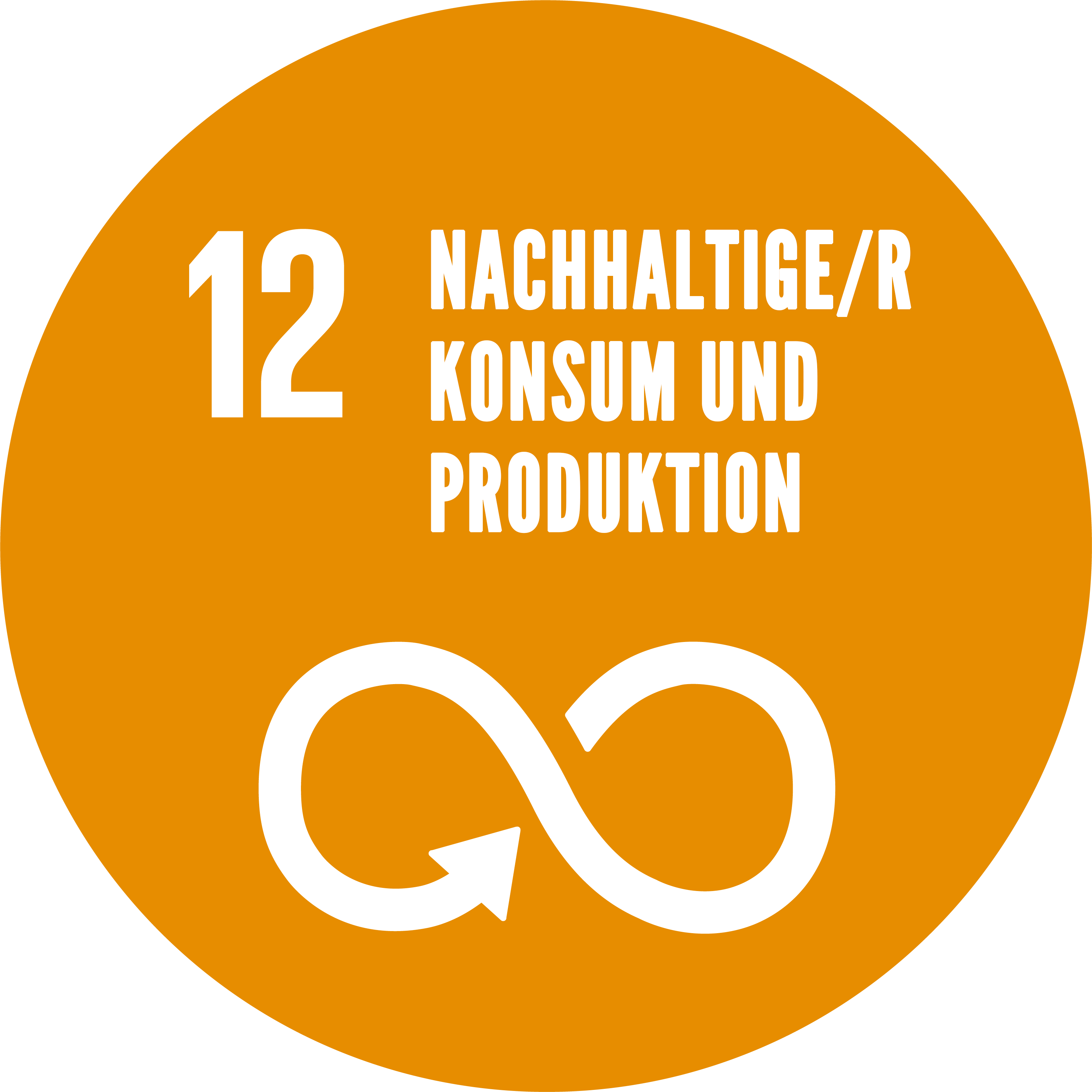 SDG 12: Nachhaltiger Konsum und Produktion