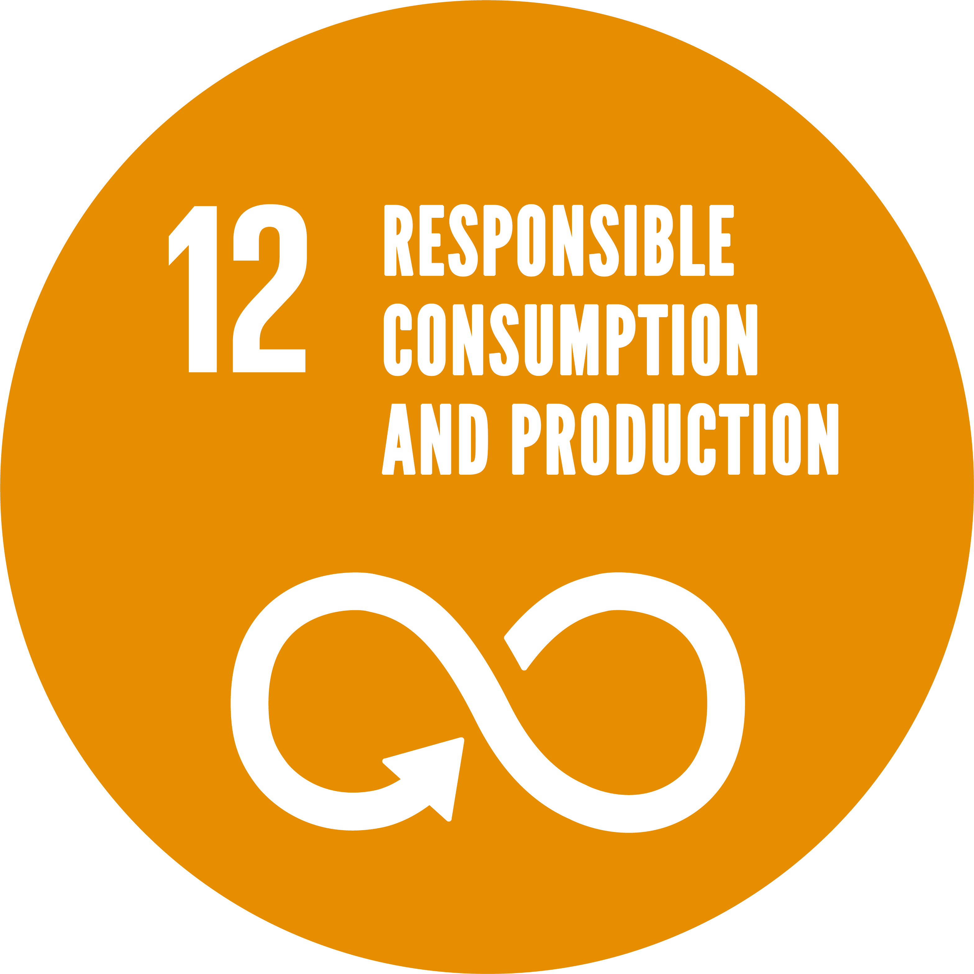 SDG 12: Responsible consumption and production