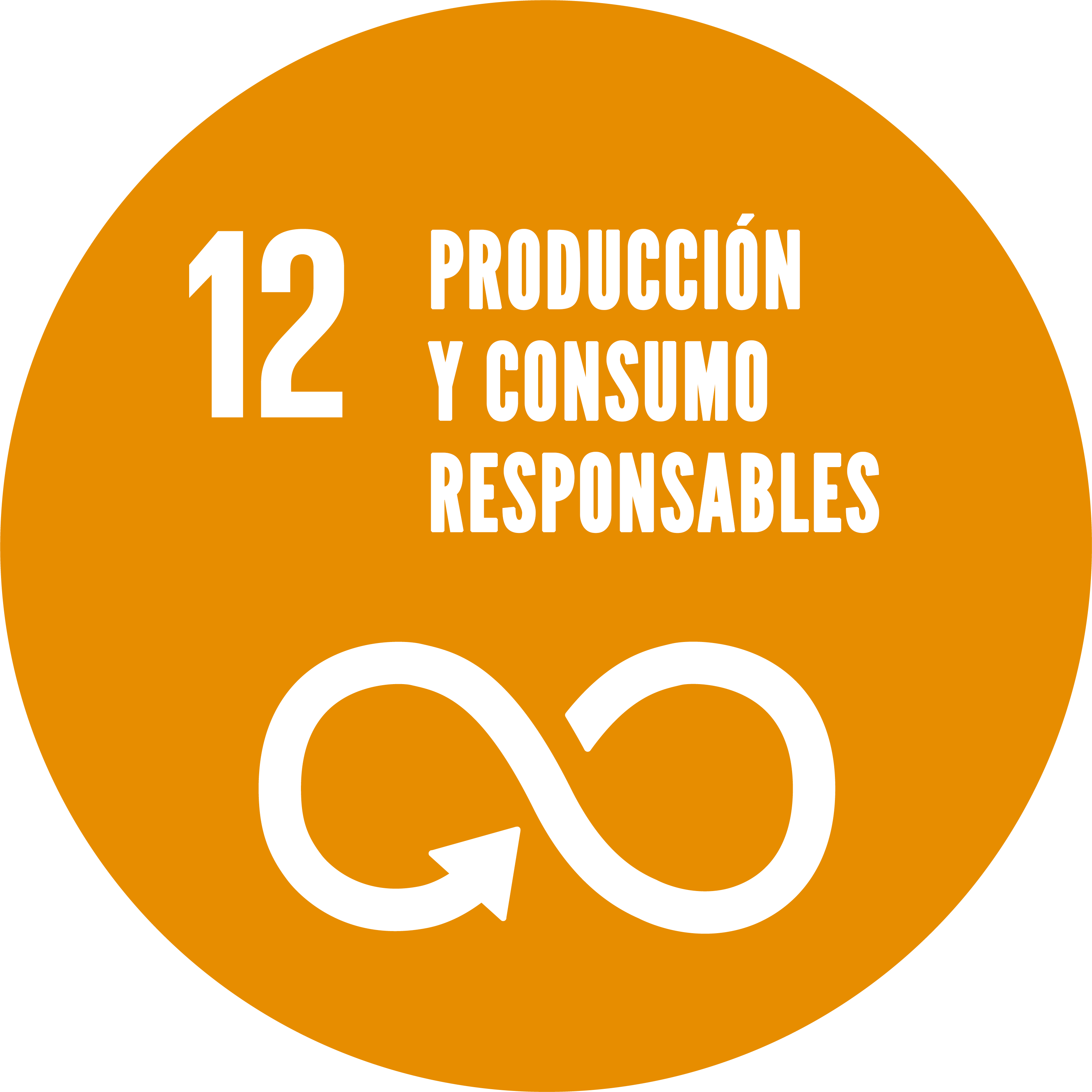 ODS 12: Producción y consumo responsables