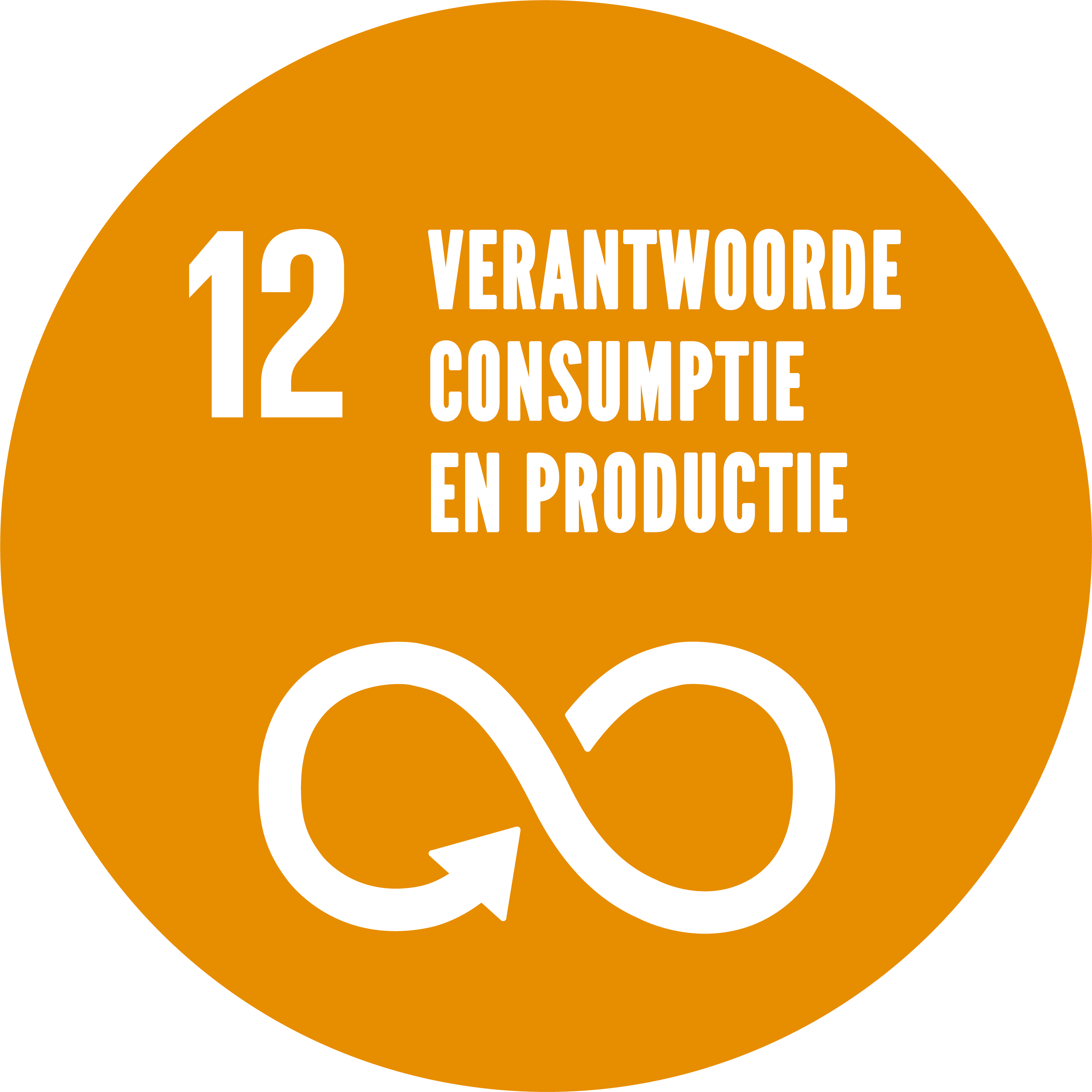 SDG 12: Verantwoorde consumptie en productie