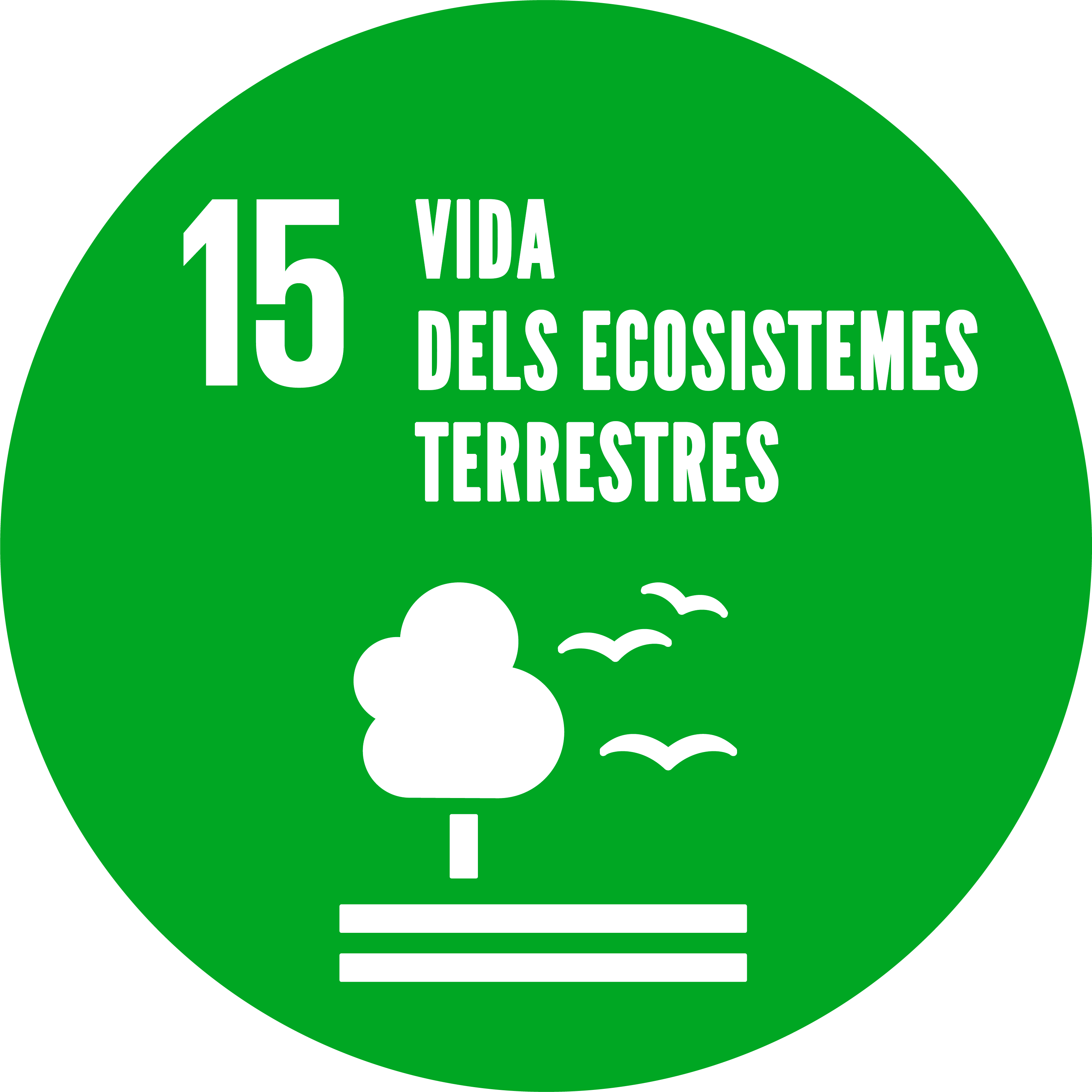 ODS 15: Vida dels ecosistemes terrestres