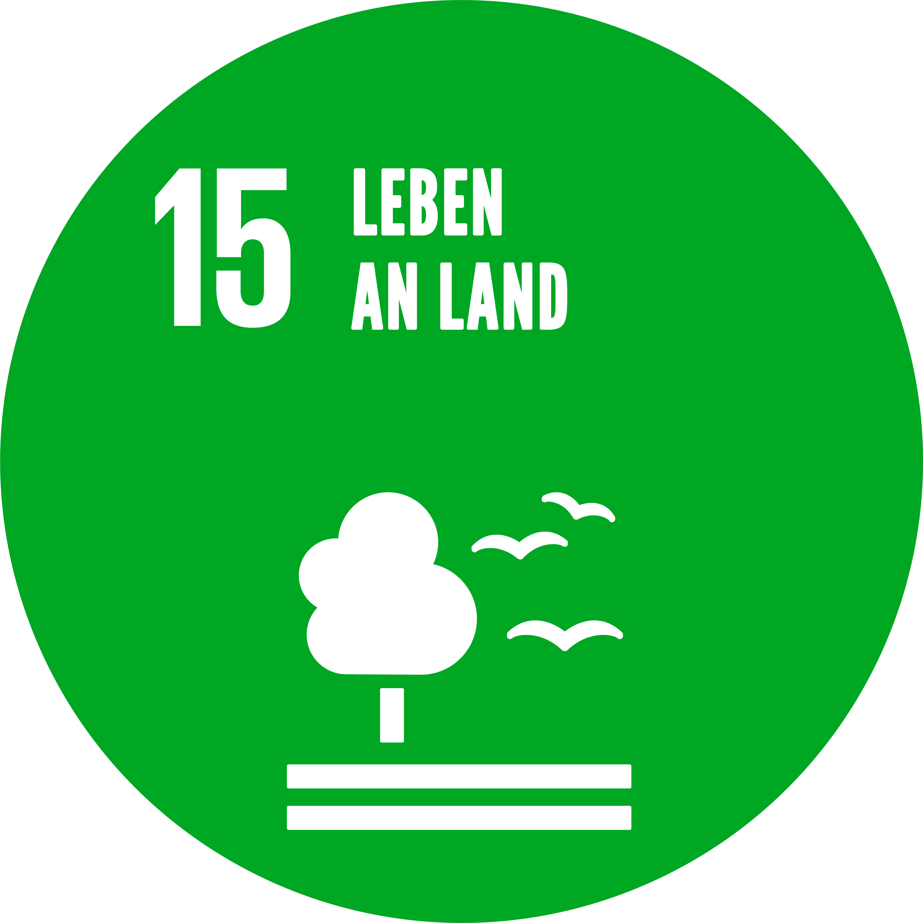 SDG 15: Leben an Land