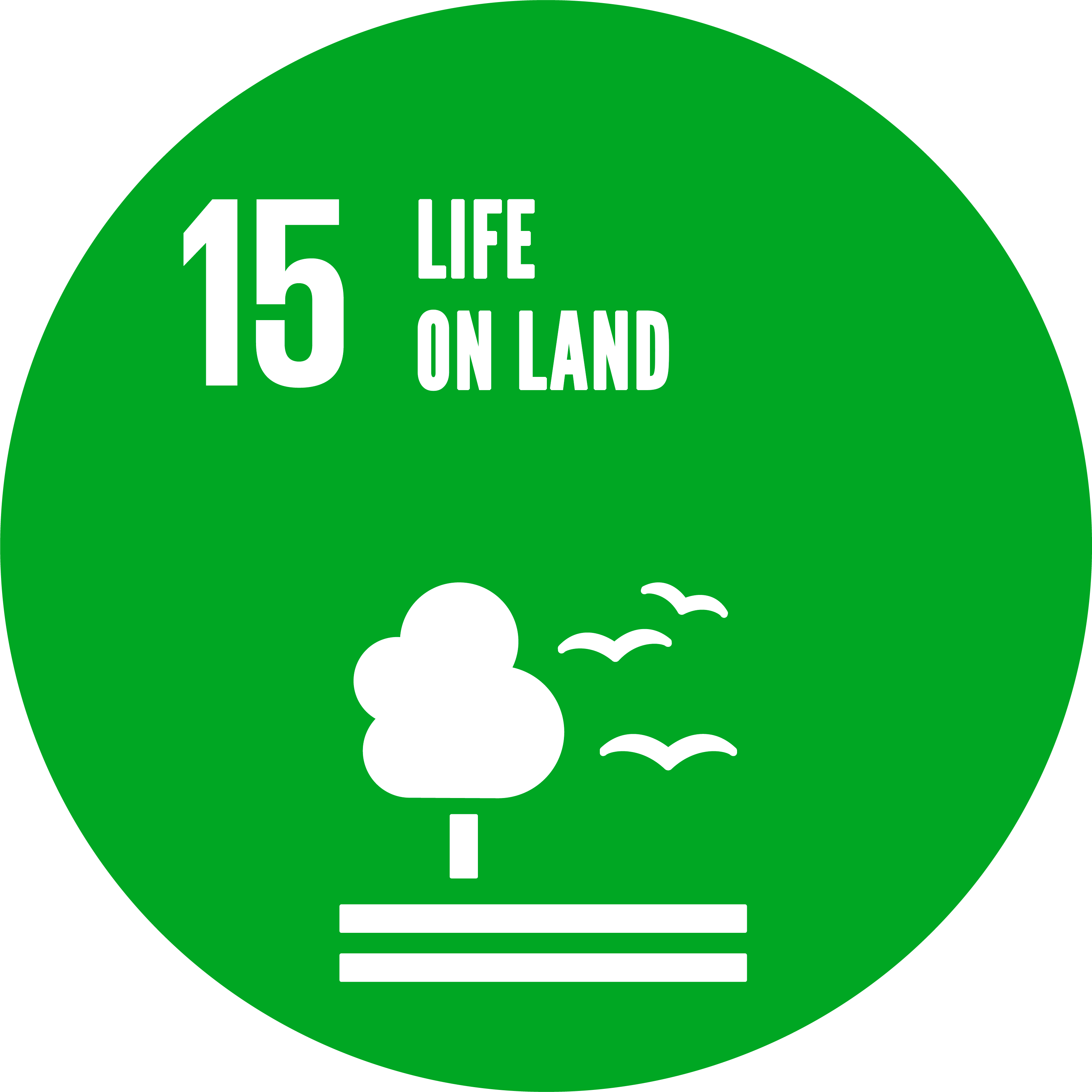 SDG 15: Life on land