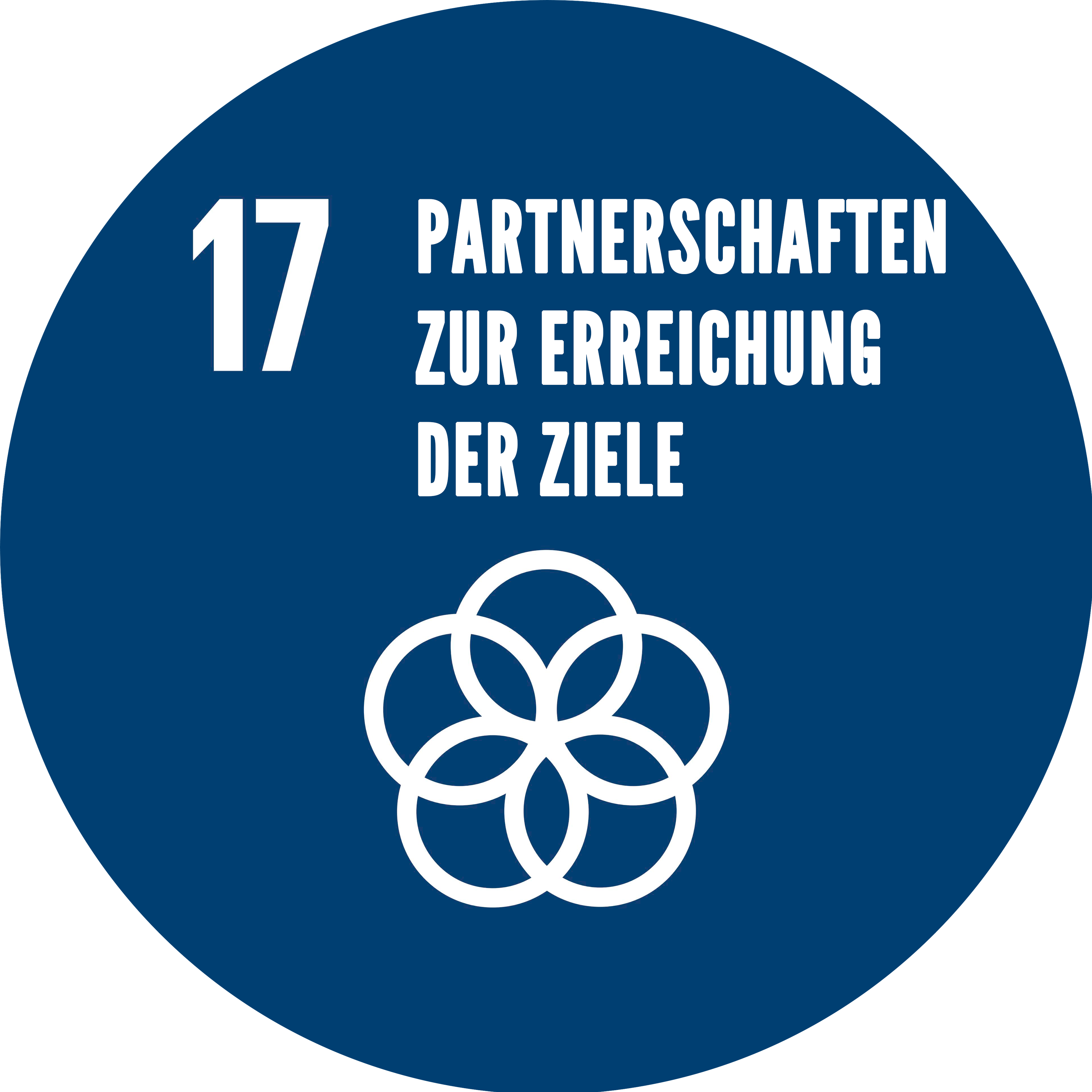 SDG 17: Partnerschaften zur Erreichung der Ziele