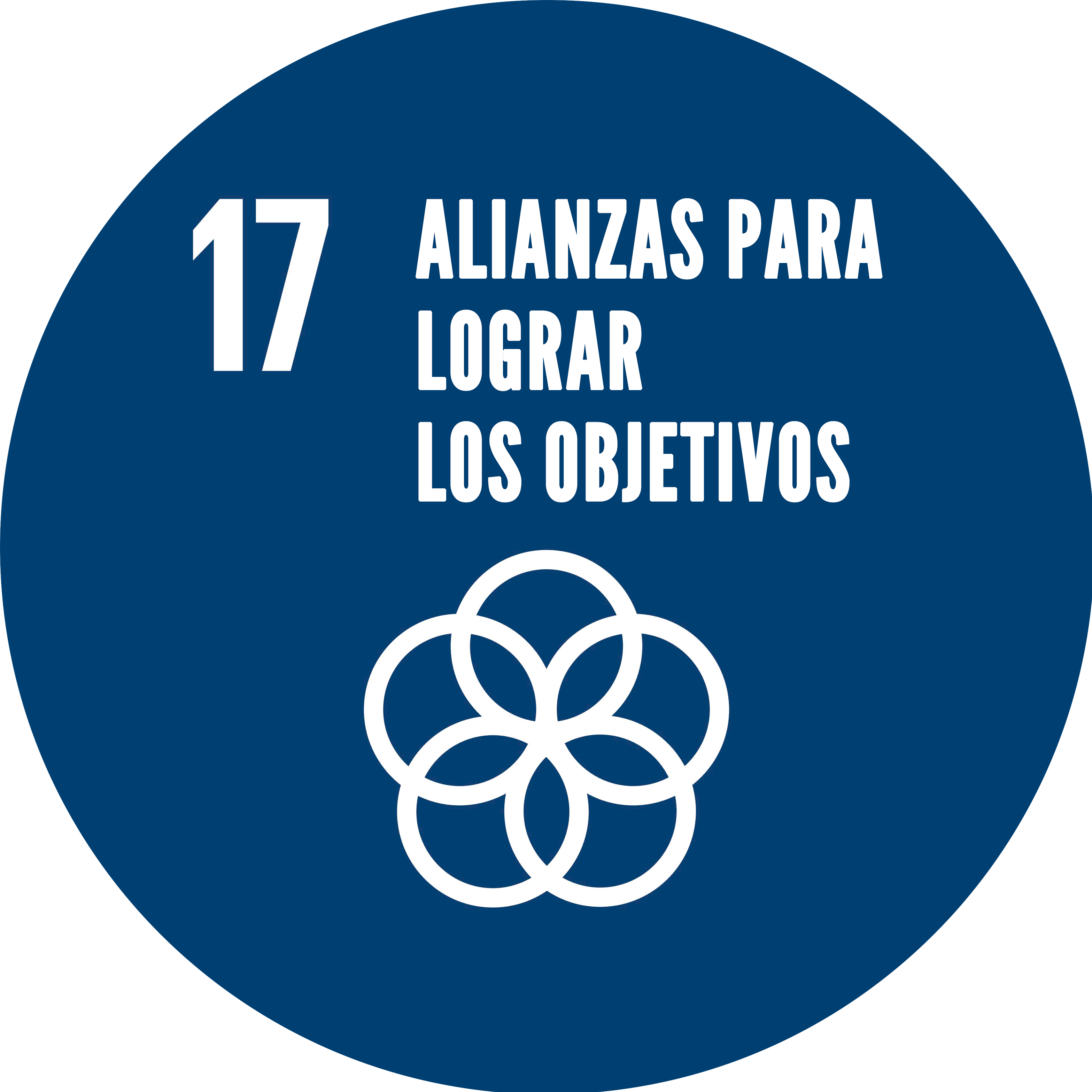 ODS 17: Alianzas para lograr los objetivos